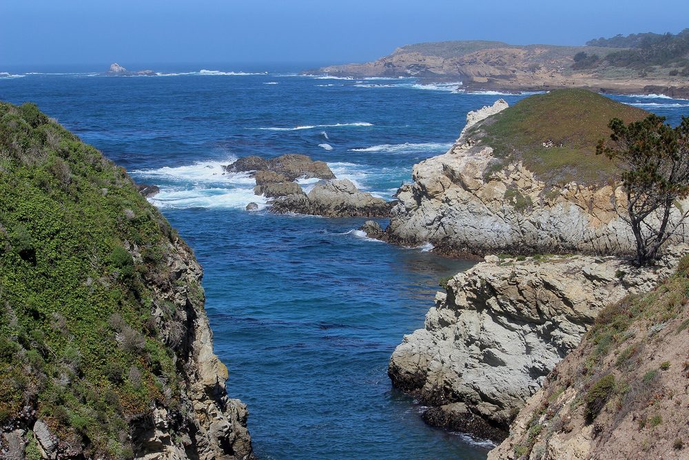 A narrow blue cove between rocky headlands with a cypress tree at Point Lobos